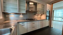 The Light @ Cairnhill (D9), Condominium #490835041